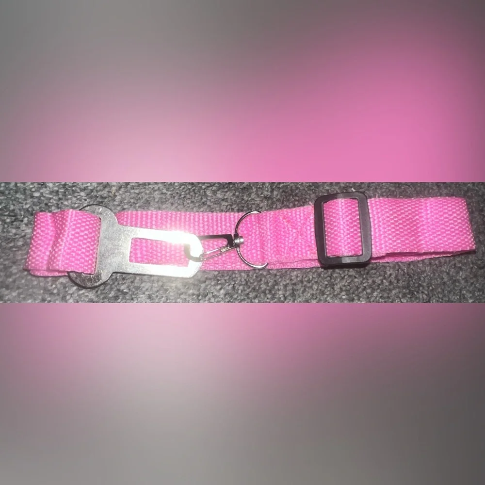 *BRAND NEW/ NEVER USED* Hot Pink Dog Collar / Seatbelt Buckle